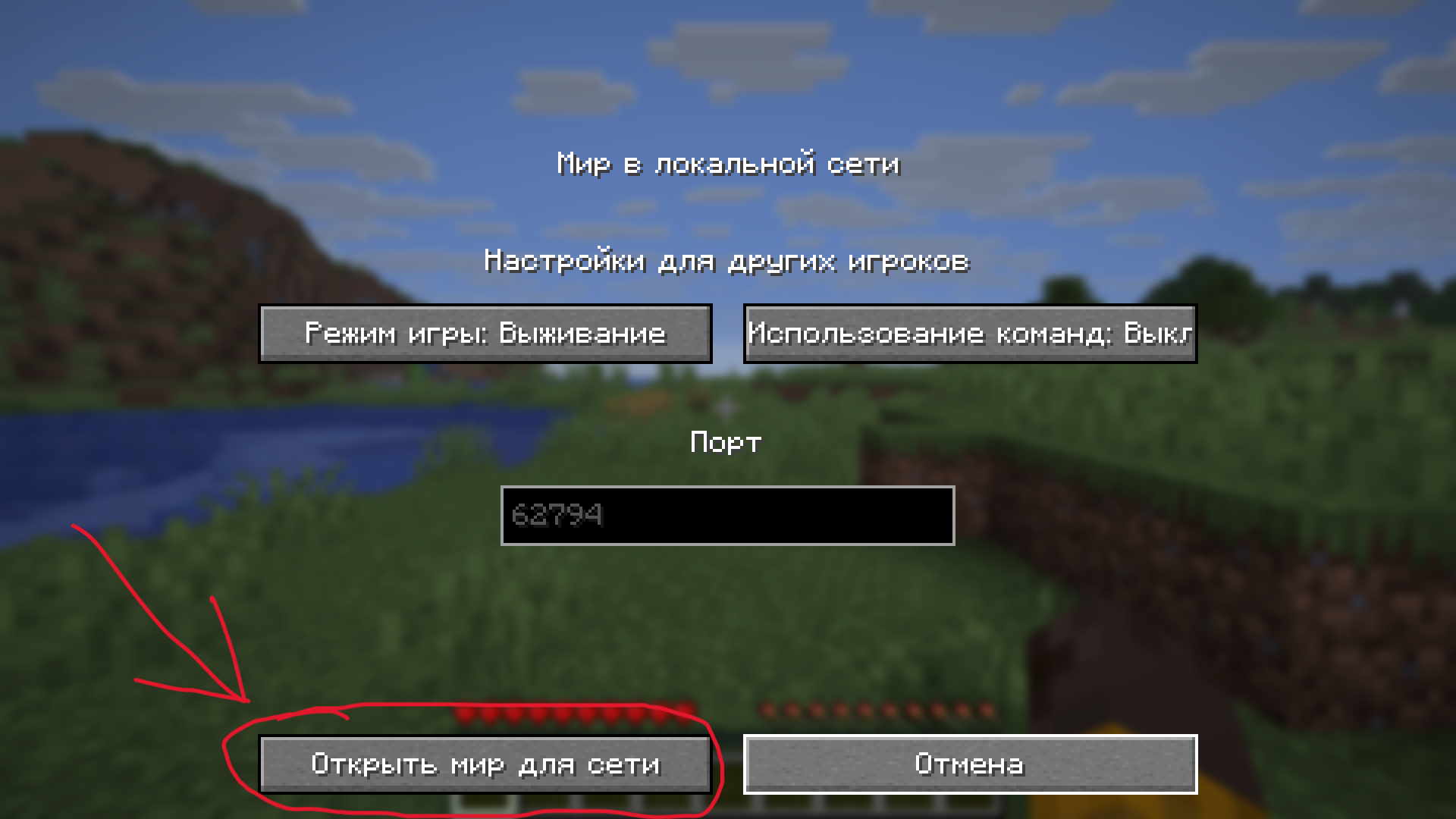 Запомните LAN-порт